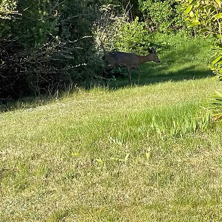 Cozy Summer House Near Дом отдыха *