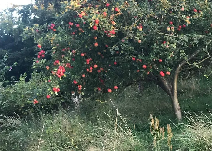 Cozy Summer House Near *